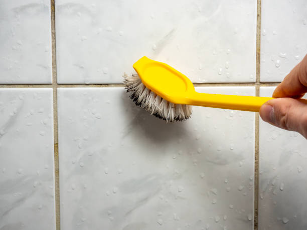 Best Mold Inspection  in Gardere, LA